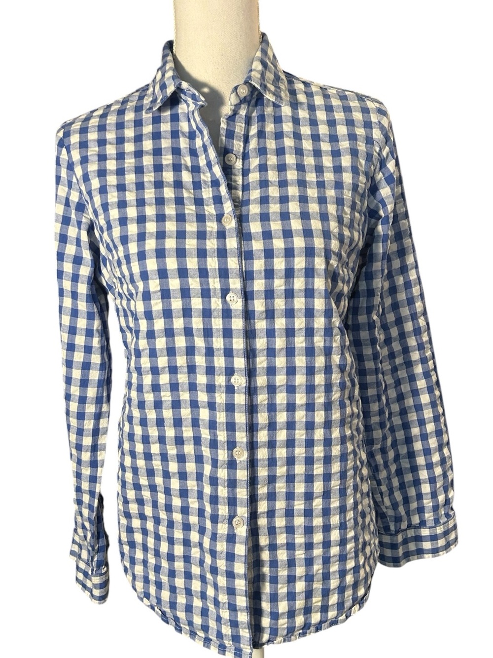 MadisoN Mathew’s Blue and White Gingham Button-Down Shirt